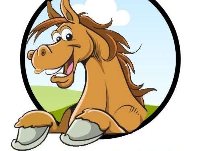 Ontdekking in de ponywereld (2018-2022)