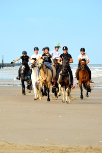 Paardrijden aan zee
