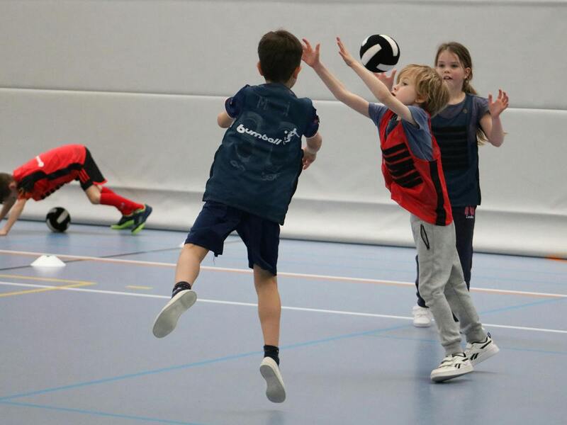 Sportkamp: omnisport kids in Eernegem - krokus (3d)