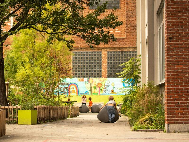 Olifantje in het bos kamp