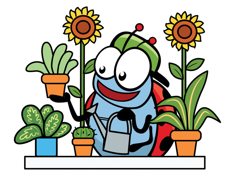 Groene vingers Kaaihoeve (17-21/08/2026)